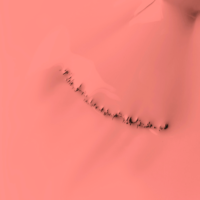 29428_29428_2c