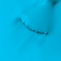 29432_29432_2
