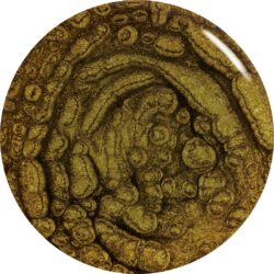 orly-gelfx-whispered-lore-2