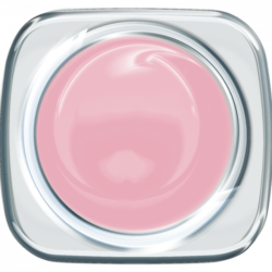 01-7954_princess_blush_700p_600x600