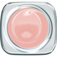 01-7955_sugary_rose_700p_600x600