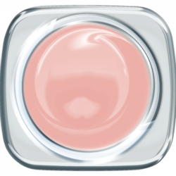 01-7955_sugary_rose_700p_600x600