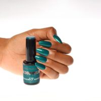 BC-Dragonfly dazzle