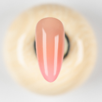 ProNails Ombré Sponges - Afbeelding 3