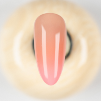 ProNails Pastel Ombre Paint Palette - Afbeelding 2